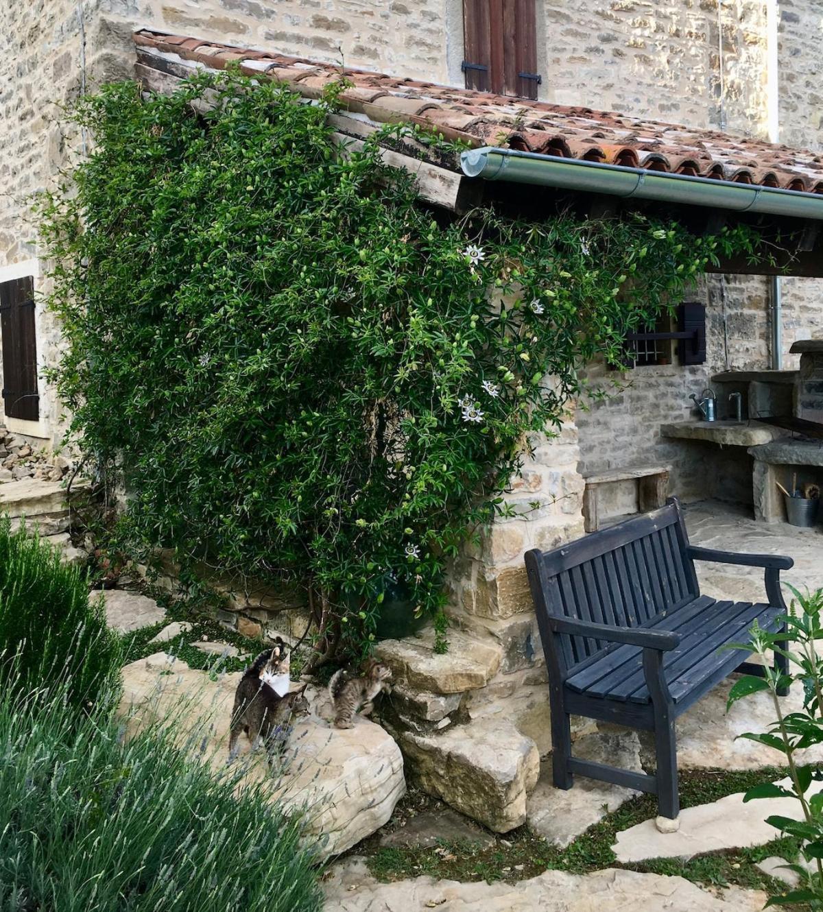 Bolara 60: The Cottage Grožnjan Exterior foto